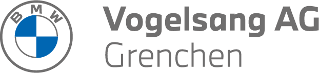 Auto Vogelsang AG